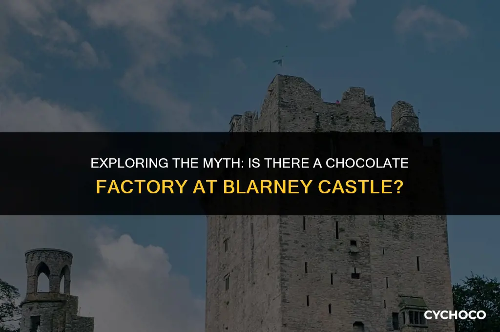 where is the chocolate factory at the blarney castle