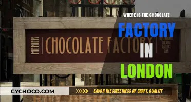 Exploring London's Sweet Side: The Chocolate Factory's Hidden Gem