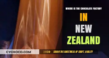 Discovering New Zealand's Sweet Secret: The Chocolate Factory Unveiled