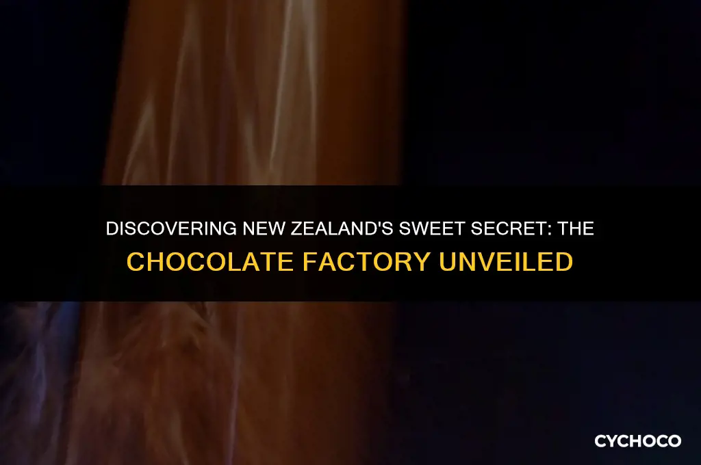 where is the chocolate factory in new zealand