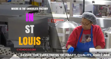 Discovering the Sweet Spot: St. Louis's Chocolate Factory Unveiled