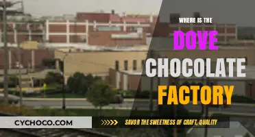 Exploring the Sweet Origins: Where Dove Chocolate Comes to Life