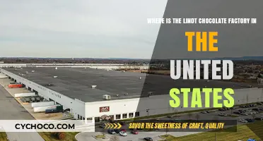 Exploring the Sweet Heartland: Lindt's Chocolate Factory in the USA