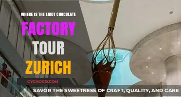 Discover the Sweet Secrets: Lindt Chocolate Factory Tour in Zurich
