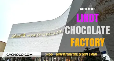 Discovering the Sweet Location of Lindt's Chocolate Factory