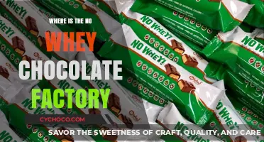Discovering the Hidden No Whey Chocolate Factory: A Sweet Adventure