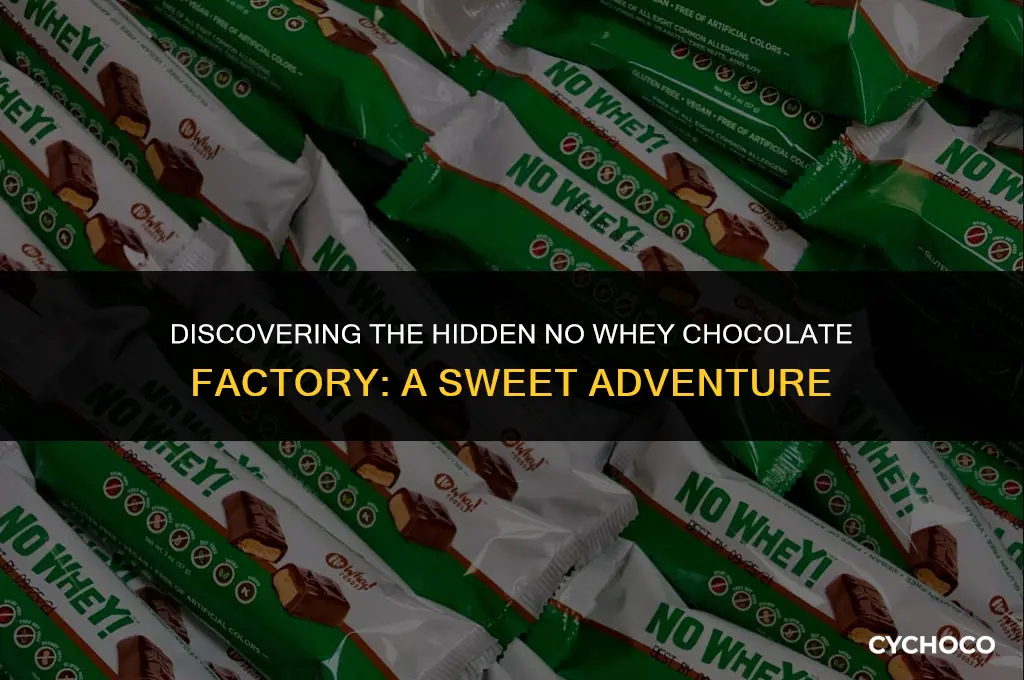 where is the no whey chocolate factory