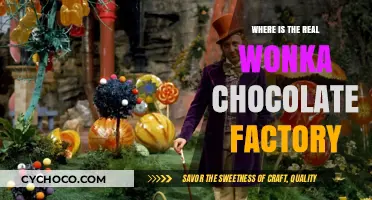 Decoding the Myth: Where is the Real Wonka Chocolate Factory?