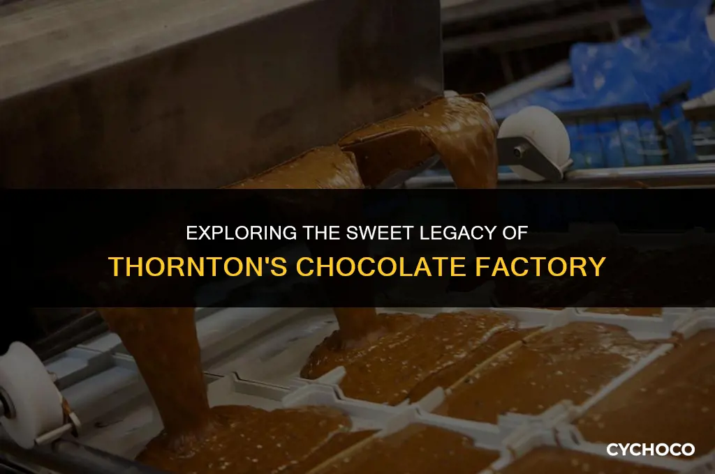 where is thorntons chocolate factory