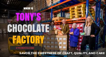 Exploring the Sweet Mystery: Where is Tony's Chocolate Factory?