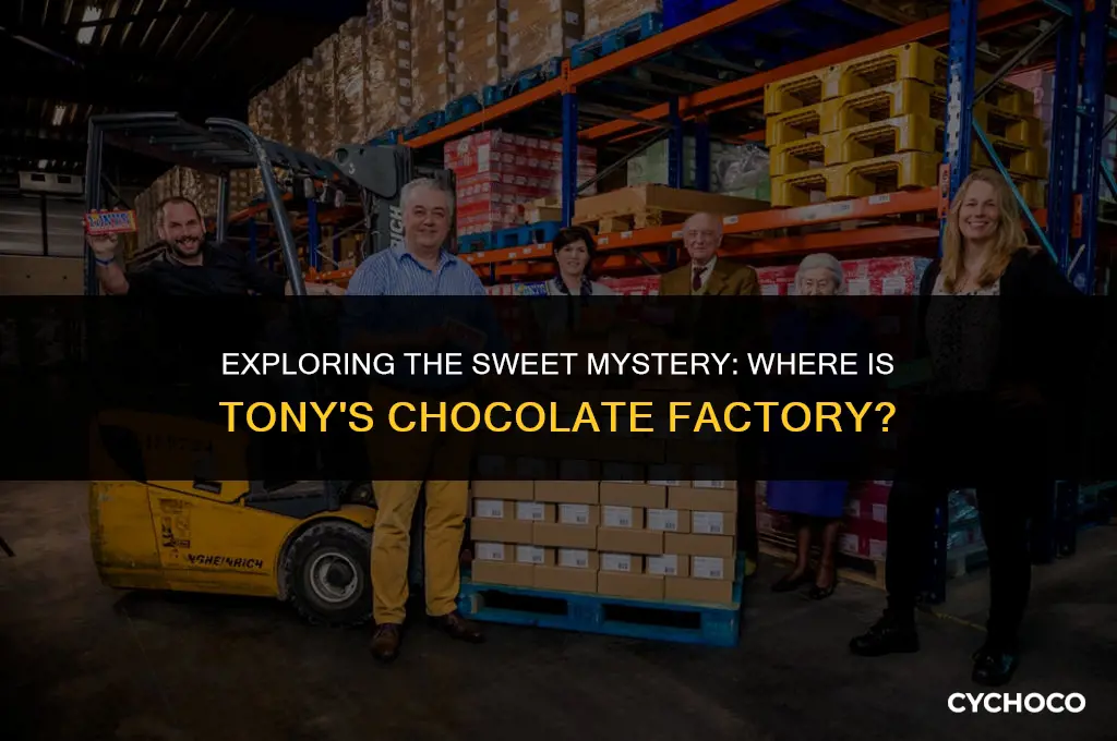 where is tony