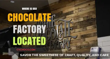 Exploring the Sweet Origins: Where is the USU Chocolate Factory Located?
