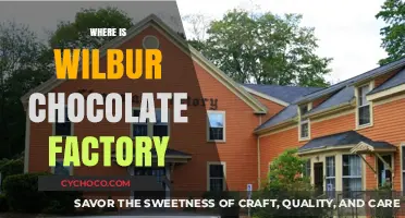 Exploring the Sweet Legacy of Wilbur Chocolate Factory