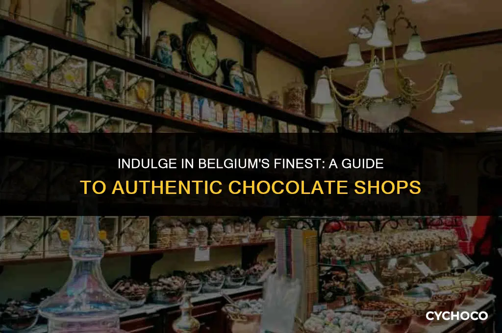 where to buy belgian chocolates