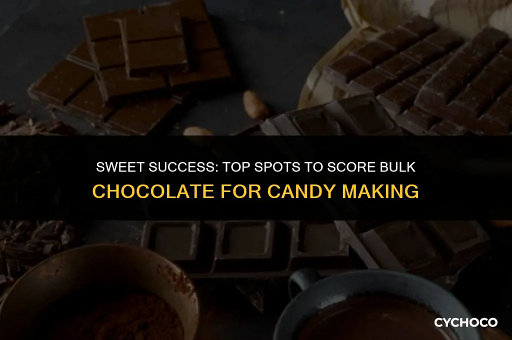 where to buy bulk chocolate for candy making