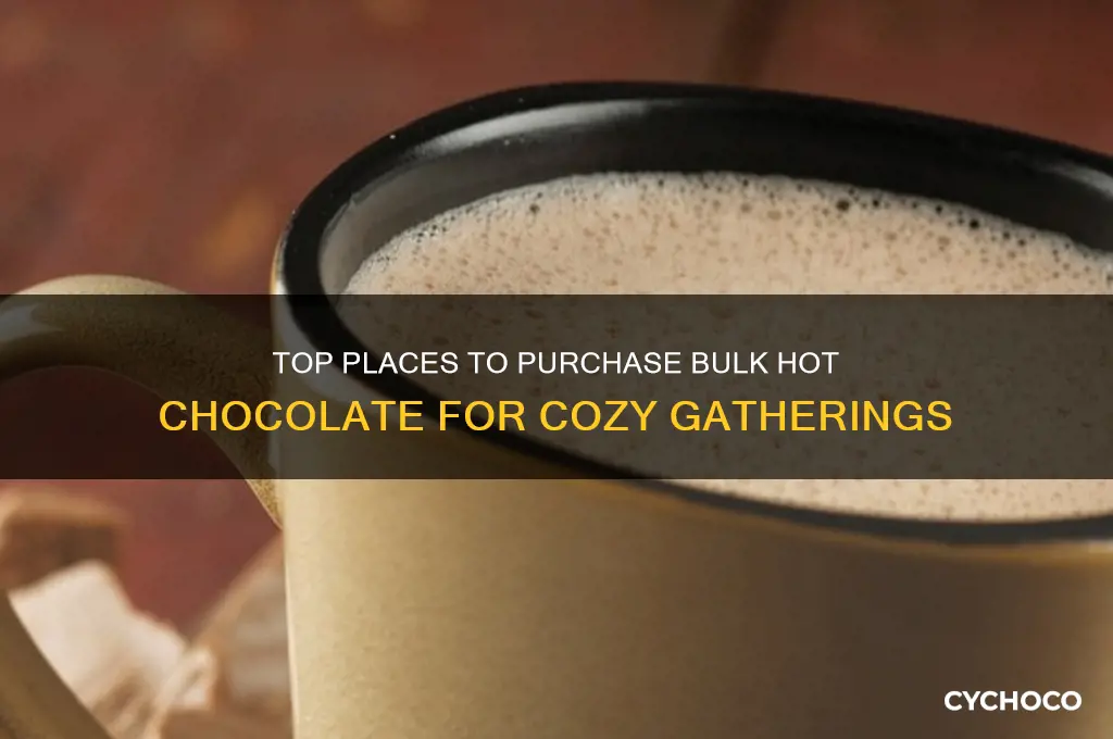 where to buy bulk hot chocolate