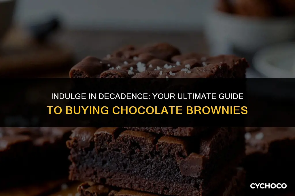 where to buy chocolate brownies
