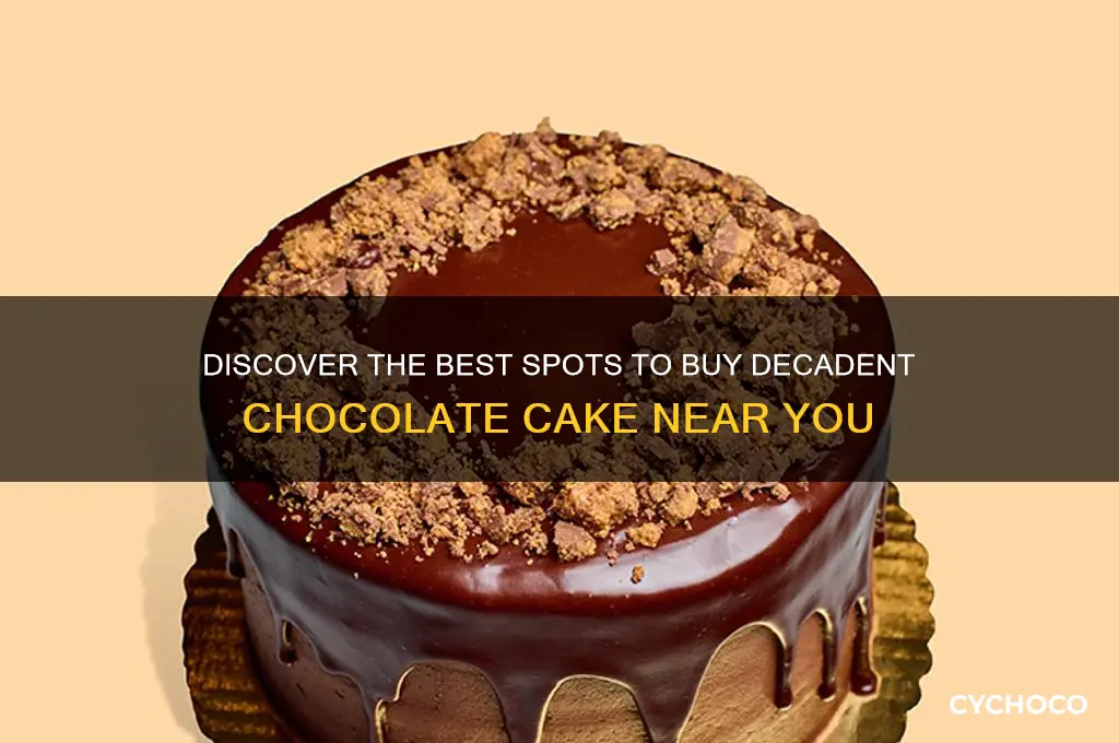 where to buy chocolate cake