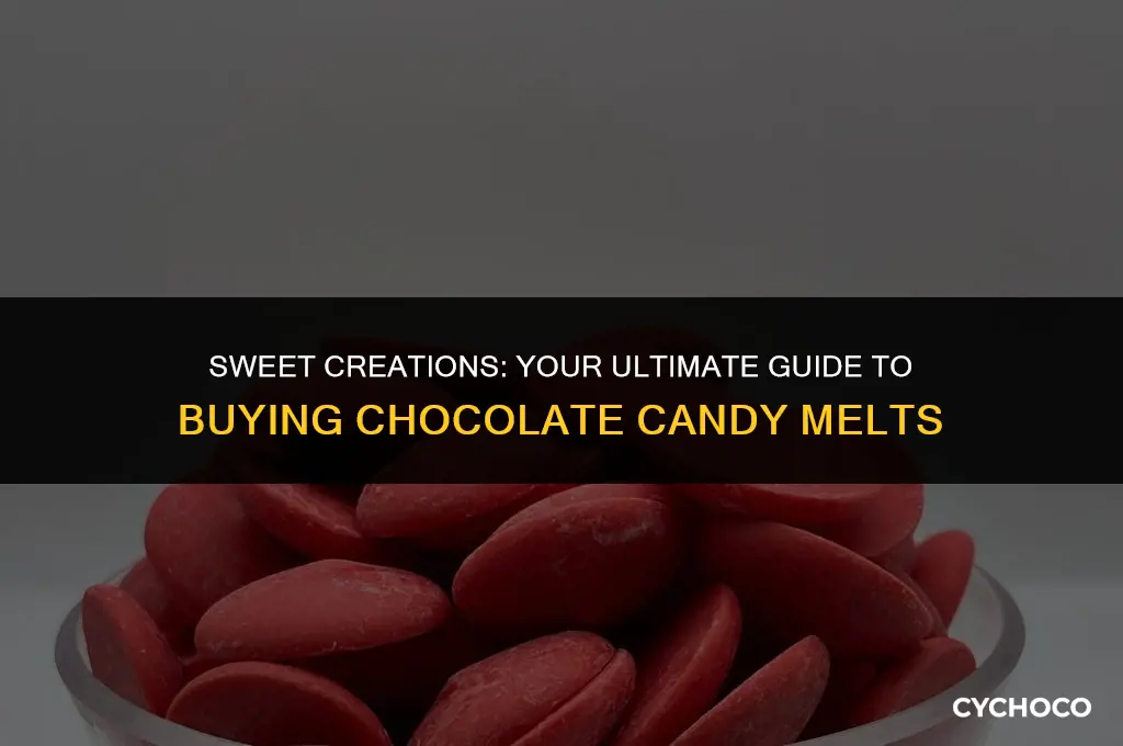 where to buy chocolate candy melts