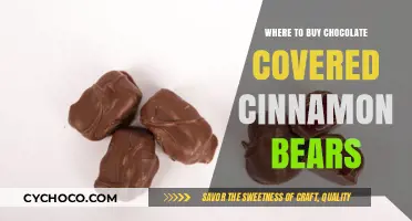 Best Places to Find Chocolate Covered Cinnamon Bears Online & In-Store