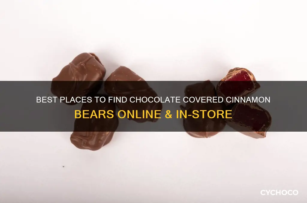 where to buy chocolate covered cinnamon bears
