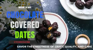 Discover the Best Places to Buy Chocolate Covered Dates Online