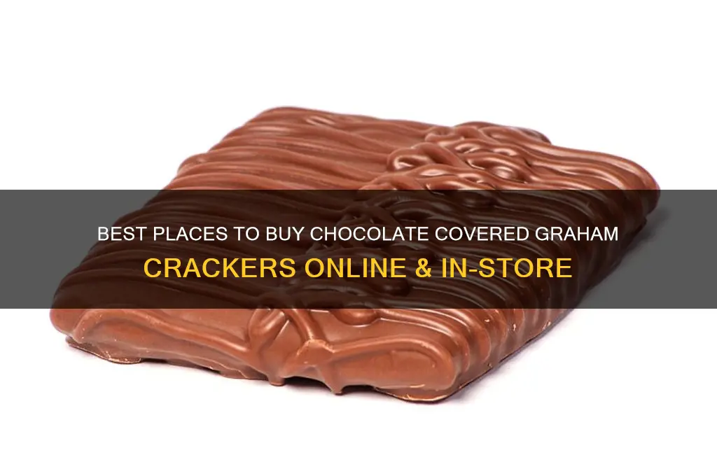 where to buy chocolate covered graham crackers