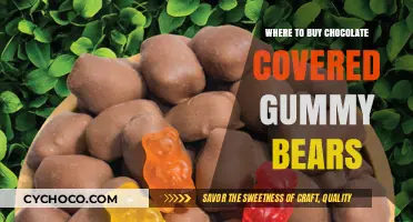Indulge in Sweetness: Discover the Best Places to Buy Chocolate-Covered Gummy Bears