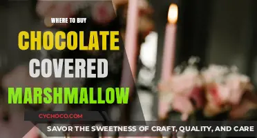 Best Places to Buy Chocolate Covered Marshmallows: A Sweet Guide