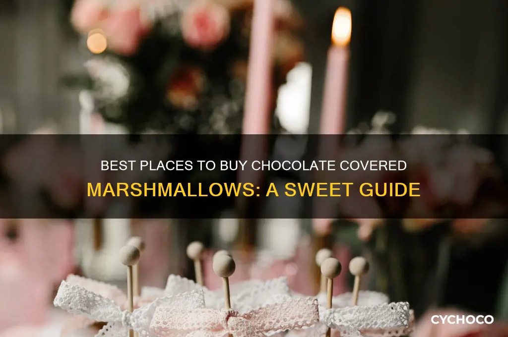 where to buy chocolate covered marshmallows