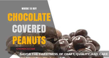 Discover the Best Places to Buy Chocolate Covered Peanuts Online & In-Store