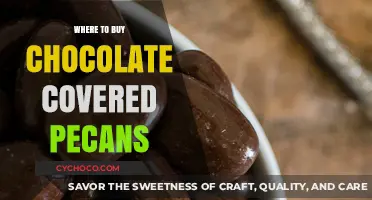 Discover the Best Places to Buy Chocolate Covered Pecans Online & In-Store