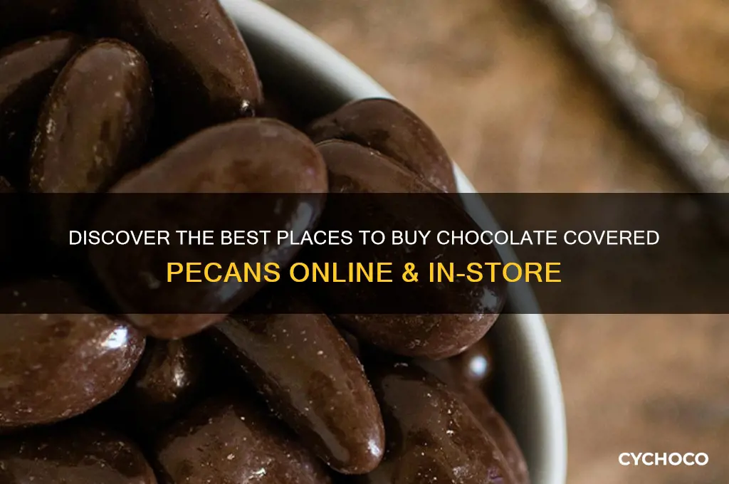 where to buy chocolate covered pecans