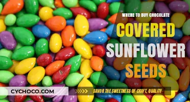 Sweet and Nutty Delights: Where to Find Chocolate-Covered Sunflower Seeds