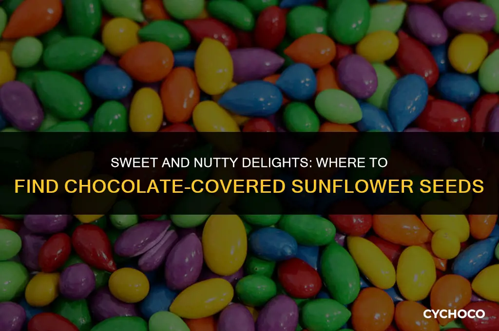 where to buy chocolate covered sunflower seeds