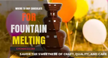 Indulge in Decadence: Your Guide to Chocolate Fountain Delights