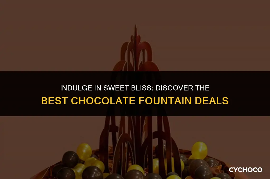 where to buy chocolate fountain