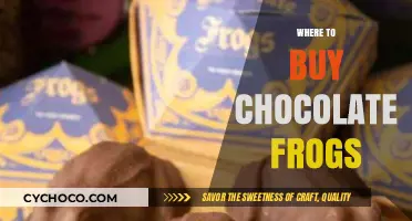 Hopping into Happiness: Your Guide to Finding Chocolate Frogs