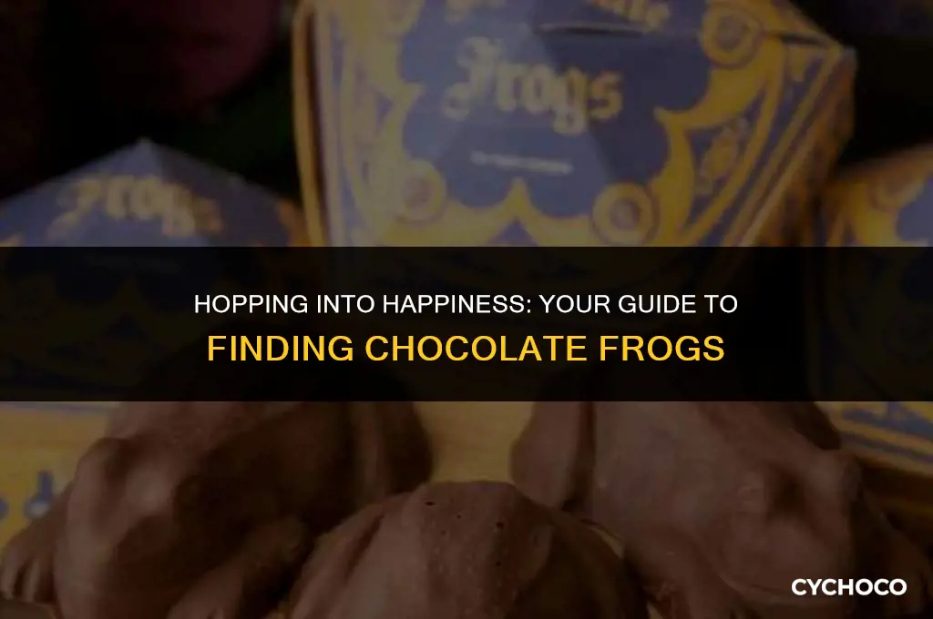 where to buy chocolate frogs