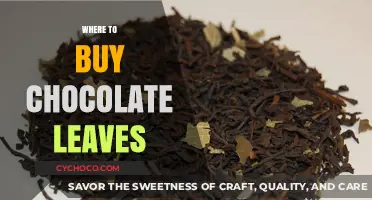 Discover the Best Places to Buy Chocolate Leaves Online and Locally