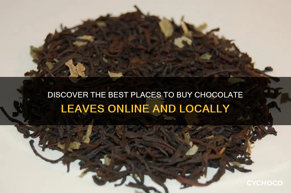 where to buy chocolate leaves