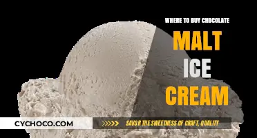 Discover the Best Spots to Buy Chocolate Malt Ice Cream