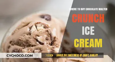 Indulge in Chocolate Malted Crunch: Your Ultimate Ice Cream Guide