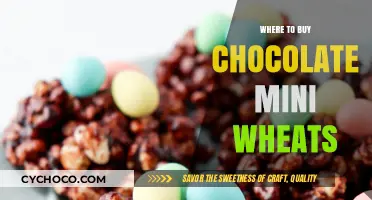 Discover the Best Spots to Buy Chocolate Mini Wheats Online and In-Store