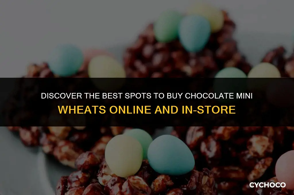 where to buy chocolate mini wheats