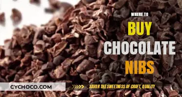 Discover the Best Places to Buy Rich, Flavorful Chocolate Nibs