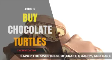 Discover the Best Places to Buy Chocolate Turtles Online & In-Store
