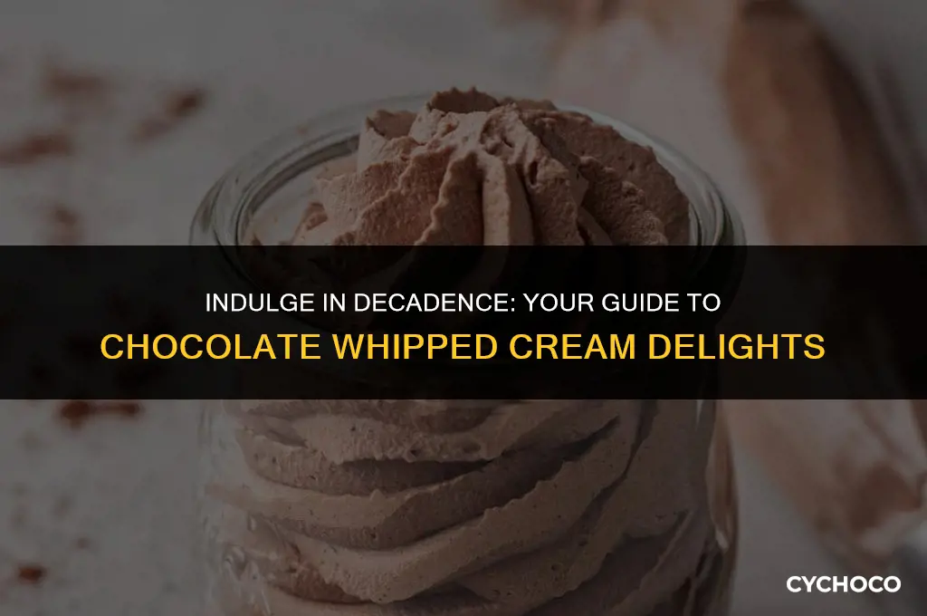 where to buy chocolate whipped cream