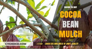 Best Places to Purchase Cocoa Bean Mulch for Your Garden