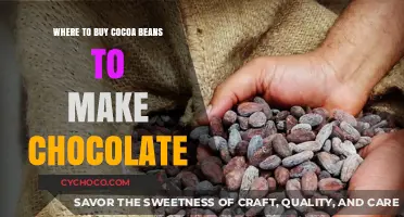Best Places to Buy Cocoa Beans for Homemade Chocolate Making